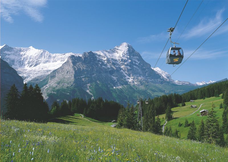 grindelwald tourist information